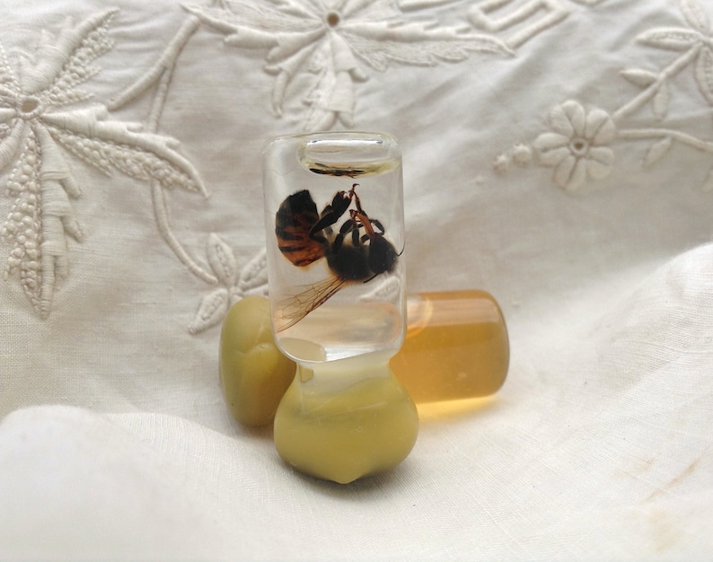 Tiny Bottled Preserved Honey Bee with Tiny Bottle of Honey