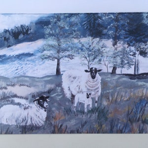 Sheep greeting card.