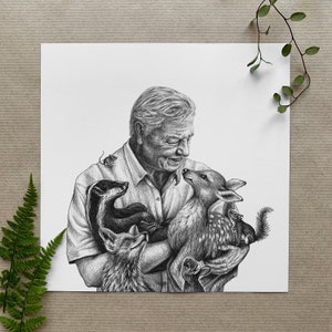 Sir David Attenborough & Woodland Animals Illustrated Poster/Print - 8x8" Square - Premium Quality Gold Foil Halo