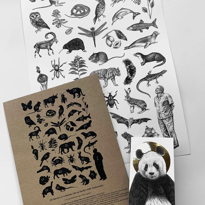 A4 Sir David Attenborough & Animals Illustrated Poster/Print image 3