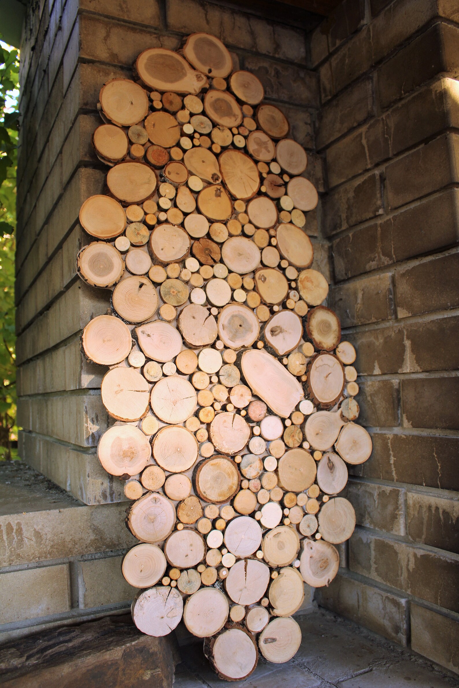 Wooden wall panel natural raw tree slices decor rustic wall Etsy