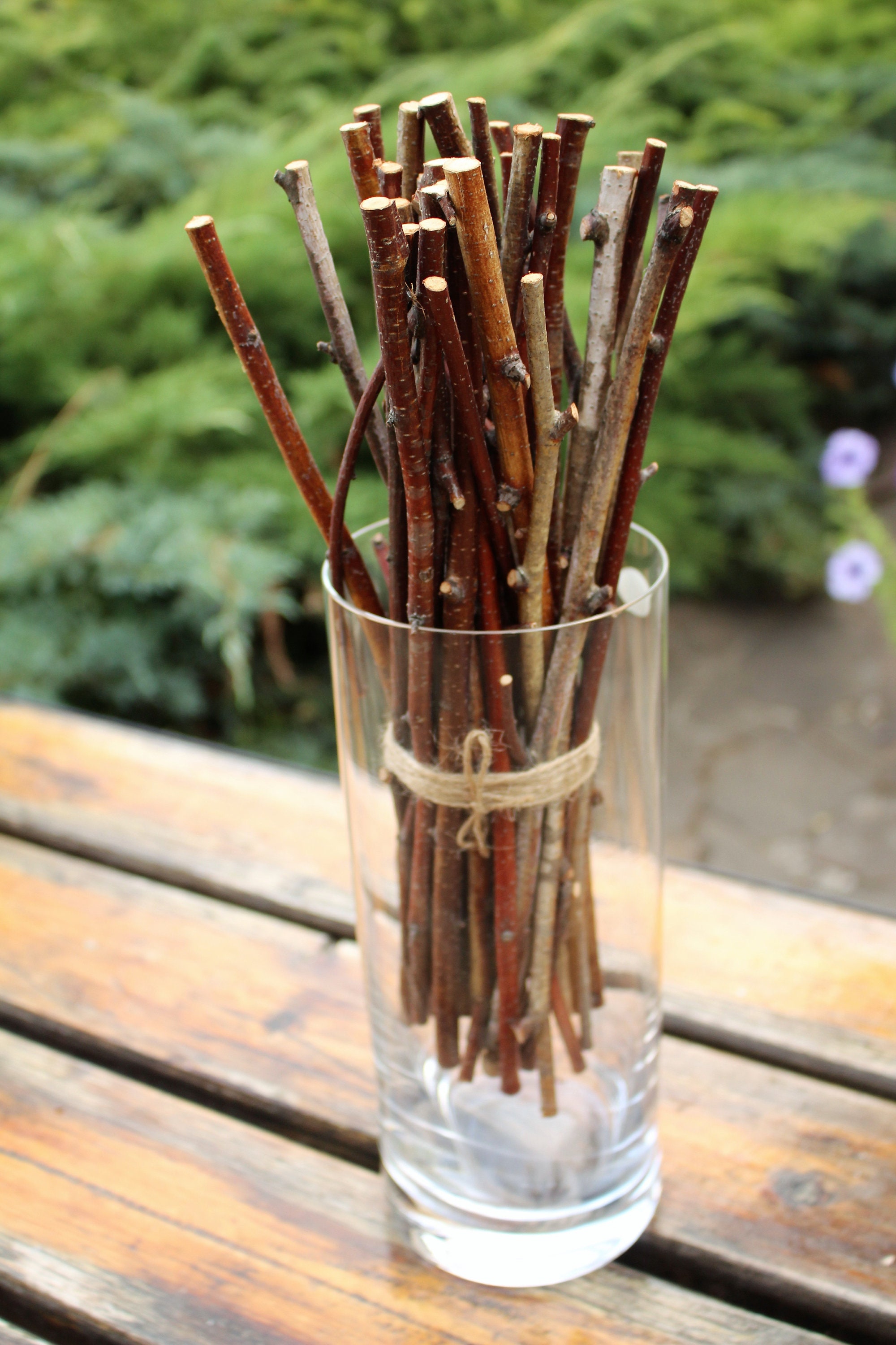 White birch branches bundle rustic wedding decor set of 30 Etsy