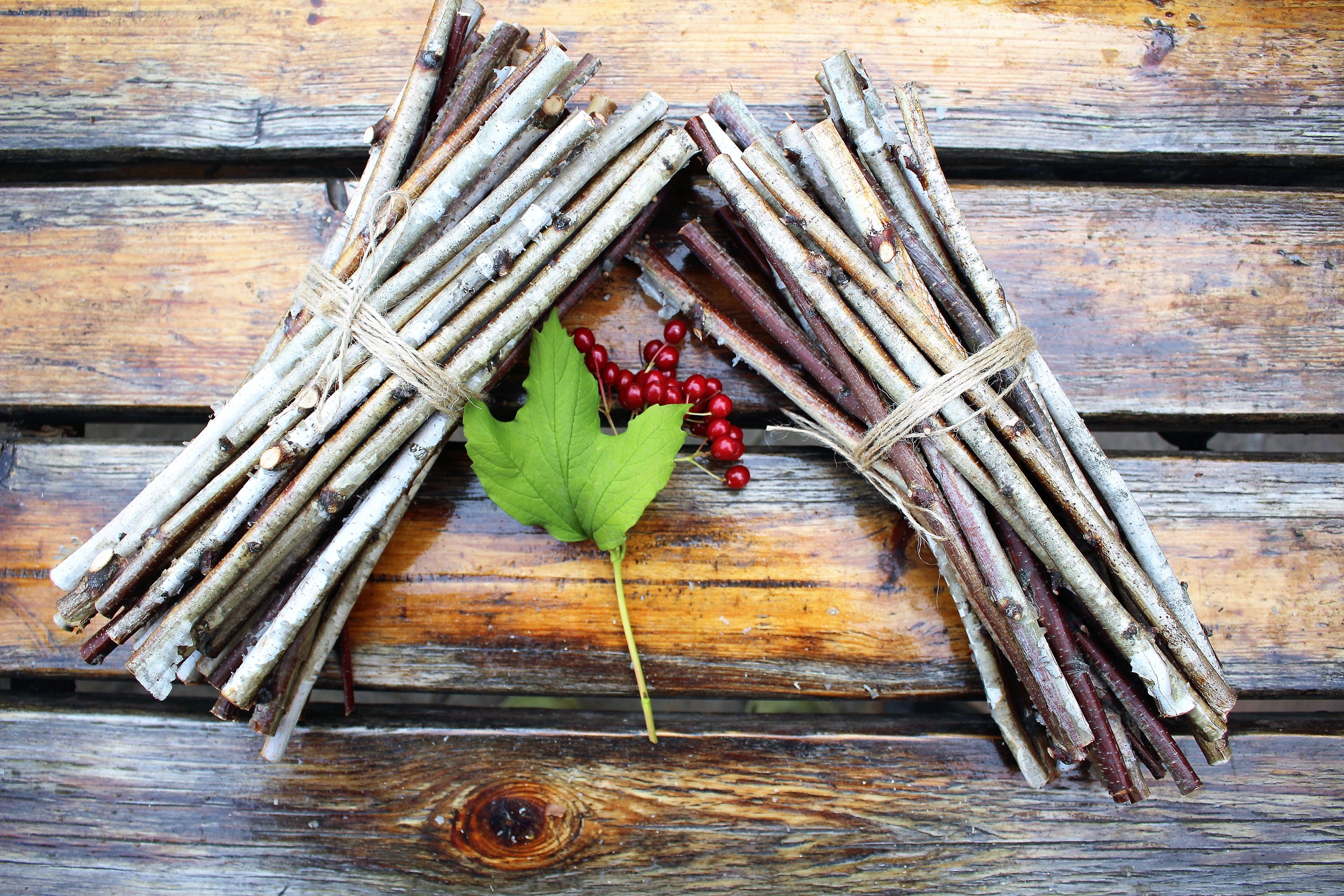 White birch branches bundle woodland or rustic wedding decor Etsy