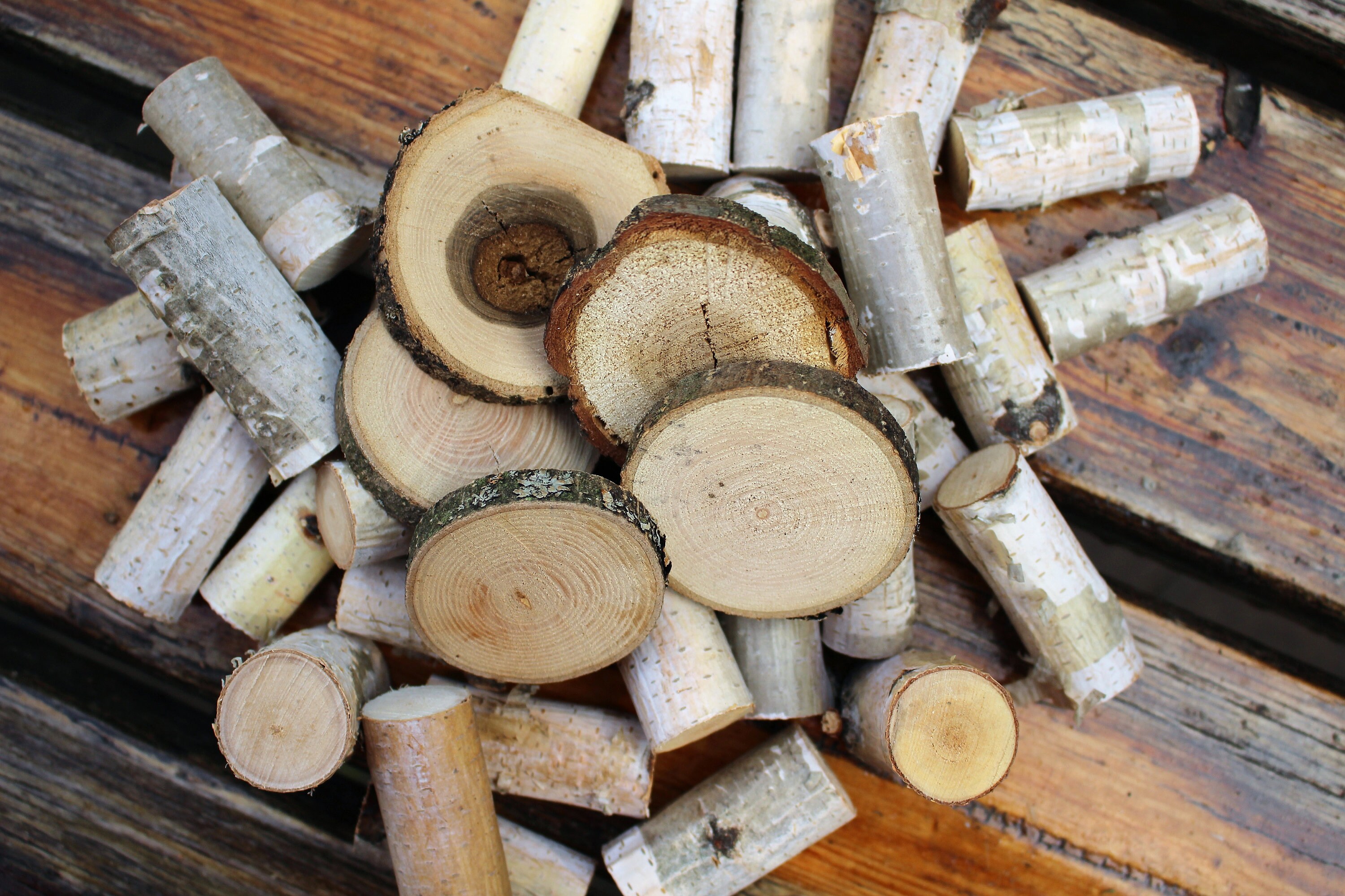 Short white birch logs set of 10 wood sticks birch branches Etsy