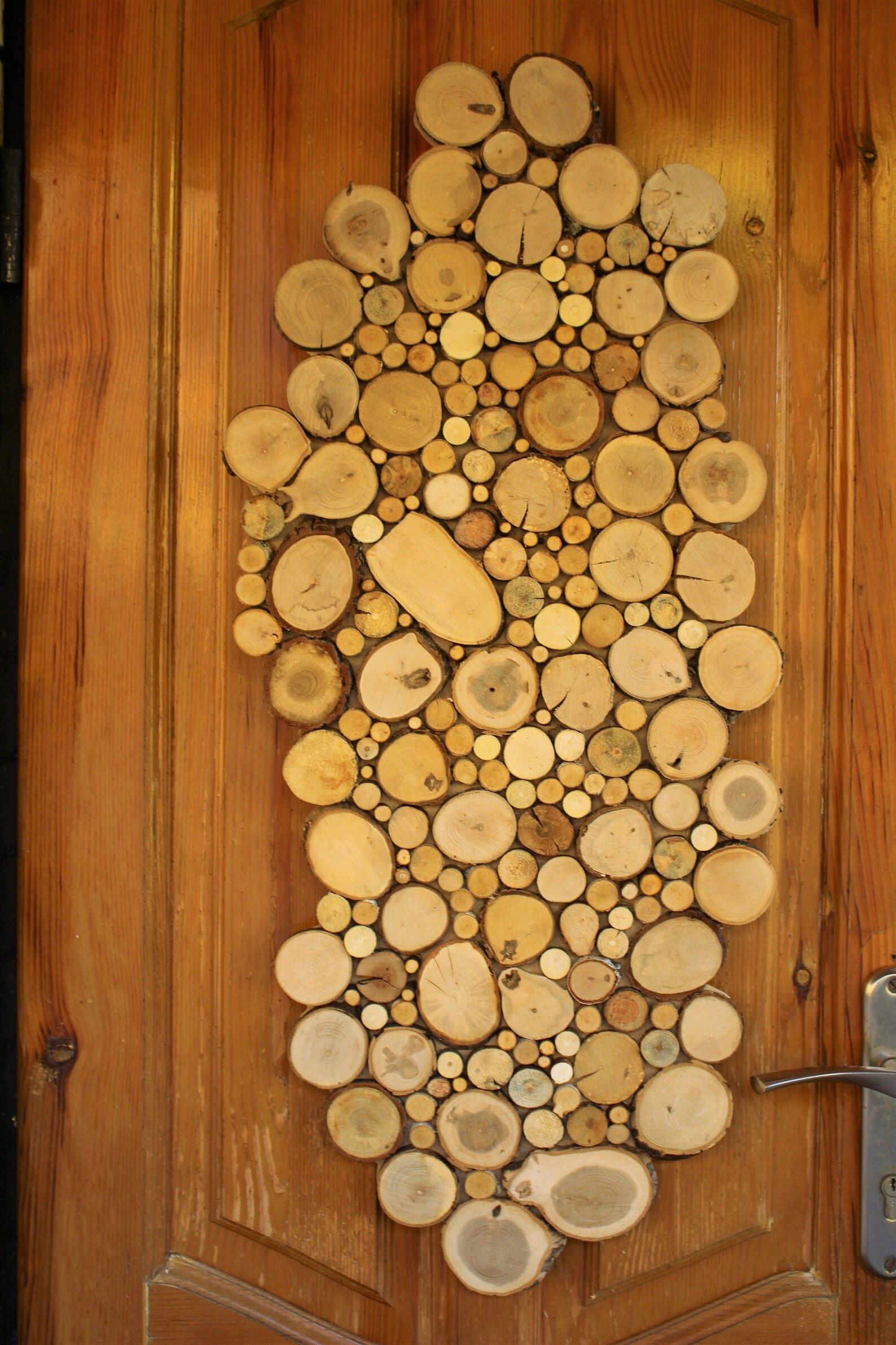 Wooden wall panel natural raw tree slices decor rustic wall Etsy