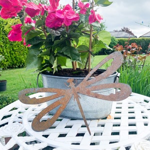 Rusty Dragonfly - Plasma Cut - Metal - Garden Art - Insect - Metal Decor - Metal Garden Ornament