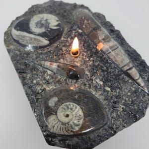 May include: A black stone with three fossilized ammonites and a small candle burning in the center.