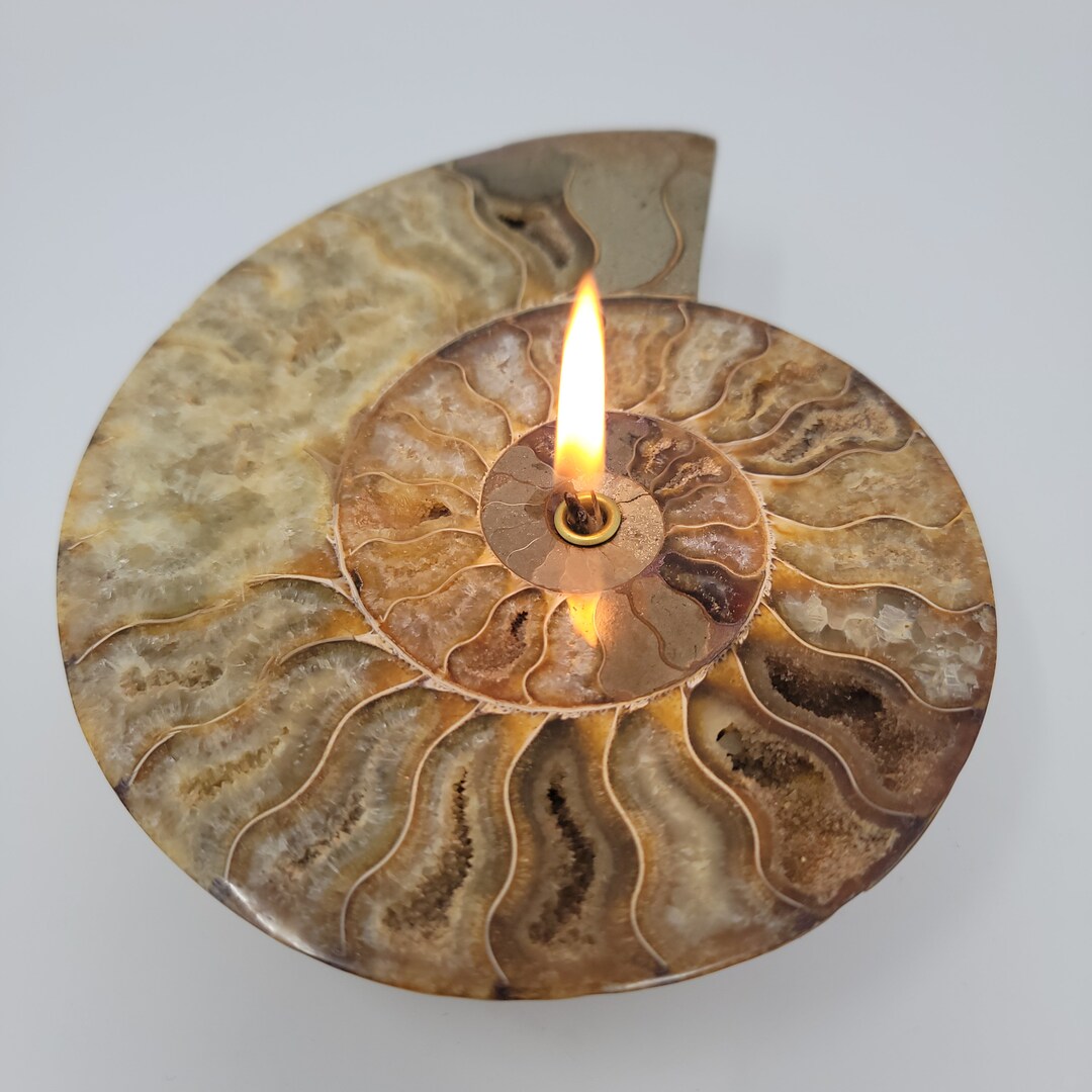 Ammonite Fossil Rock Candle Forever Rock Candle Oil Lamp Candle Sacred