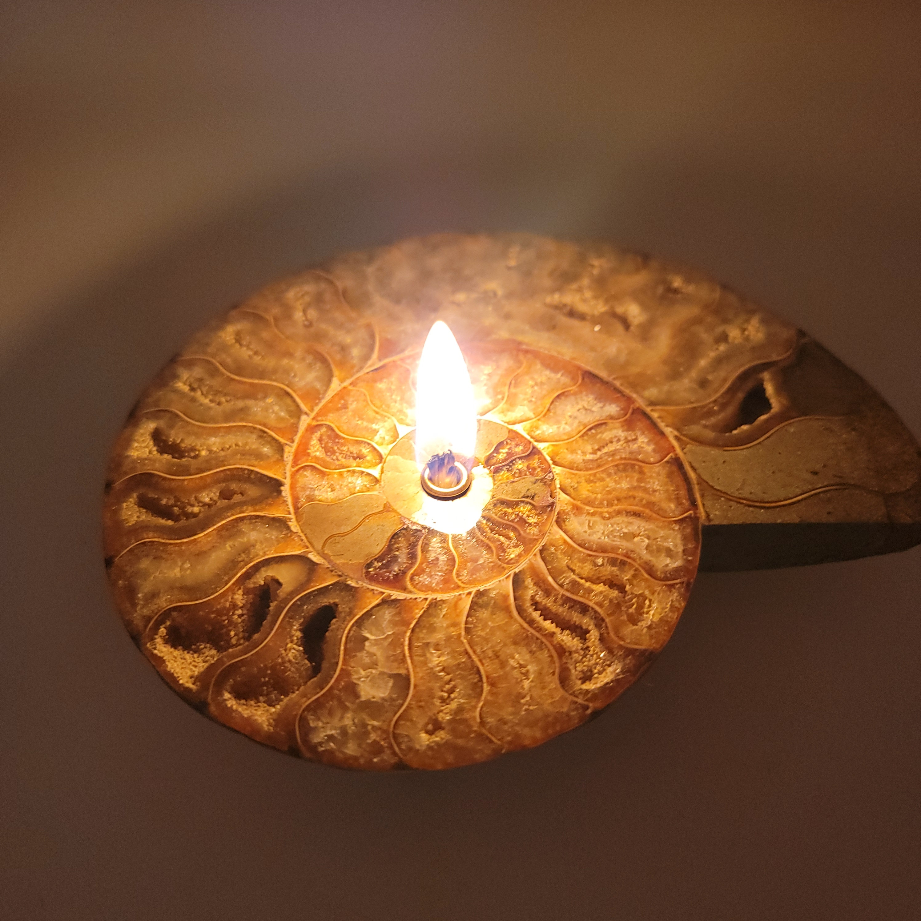 Ammonite Fossil Rock Candle Forever Rock Candle Oil Lamp Candle Sacred Geometry Metaphysical