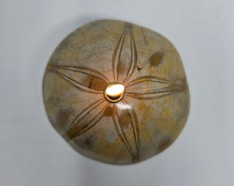Fossilized Sand Dollar Rock Candle: Forever Oil Lamp, Ocean/Seaside Decor