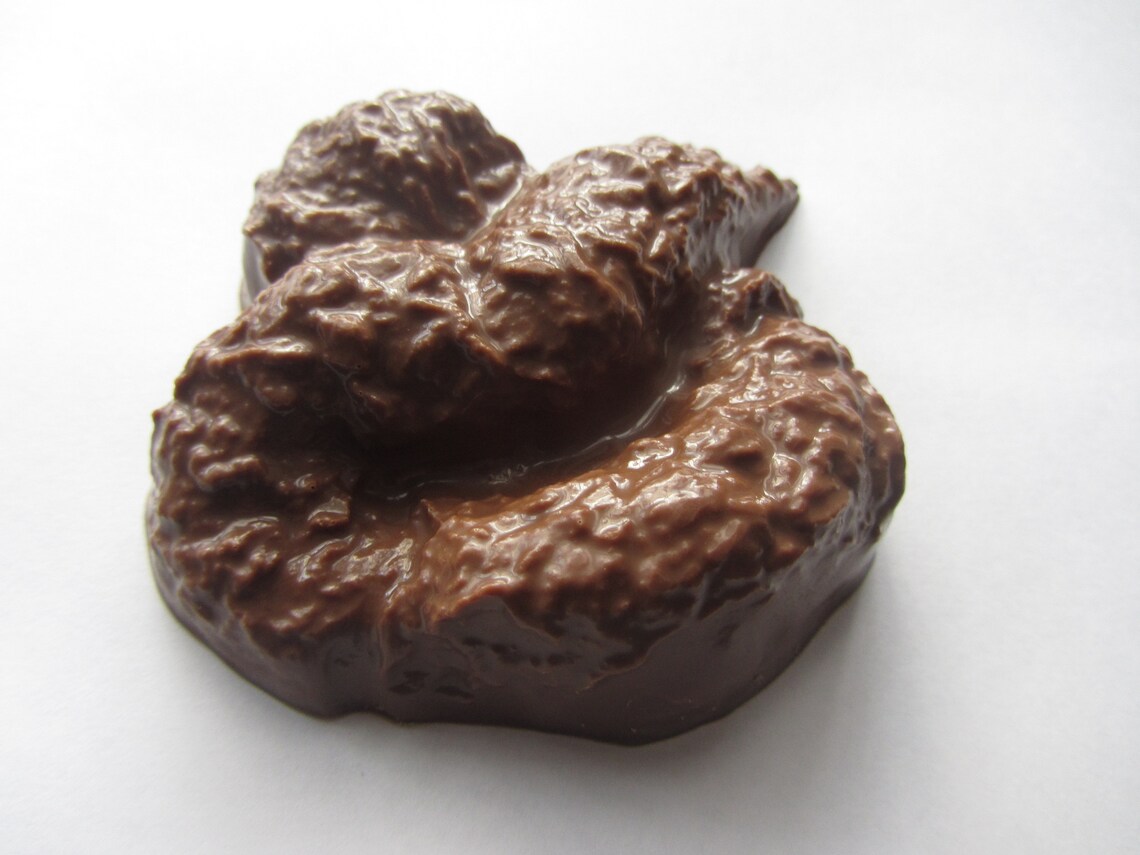Solid Belgium Chocolate Poo Secret Santa Present Joke Etsy Israel