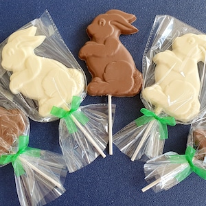May include: Five chocolate bunny lollipops wrapped in clear plastic bags with green ribbons. Two lollipops are milk chocolate and three are white chocolate.
