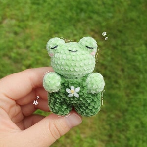 Crochet Baby Frog in Overalls Plushie PATTERN image 6
