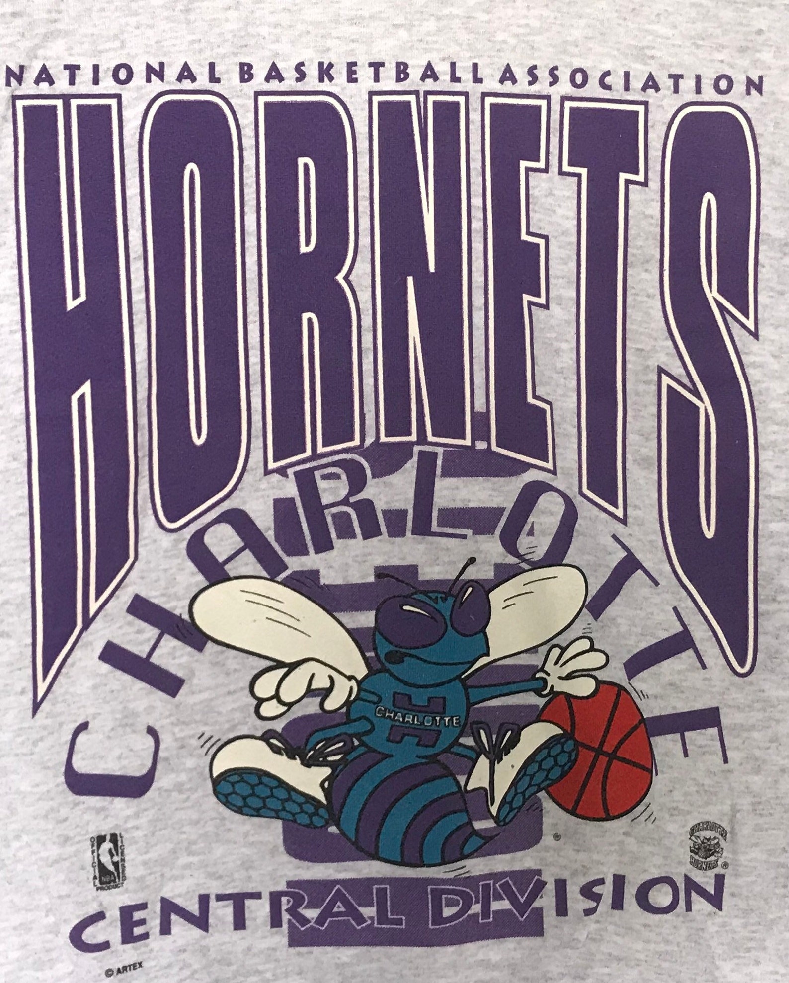 charlotte hornets vintage crewneck