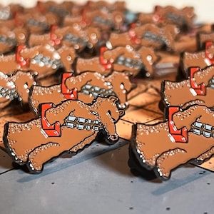 Lord Quas x Chewie Pin