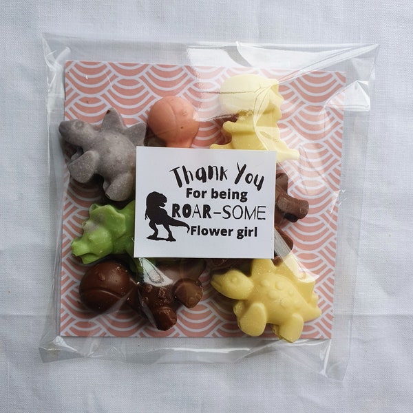 Flower Girl Wedding Gift. Page Boy Wedding Gift. Roarsome chocolate dinosaurs. Dino Lovers Gift. Personalised Wedding Kids Favour