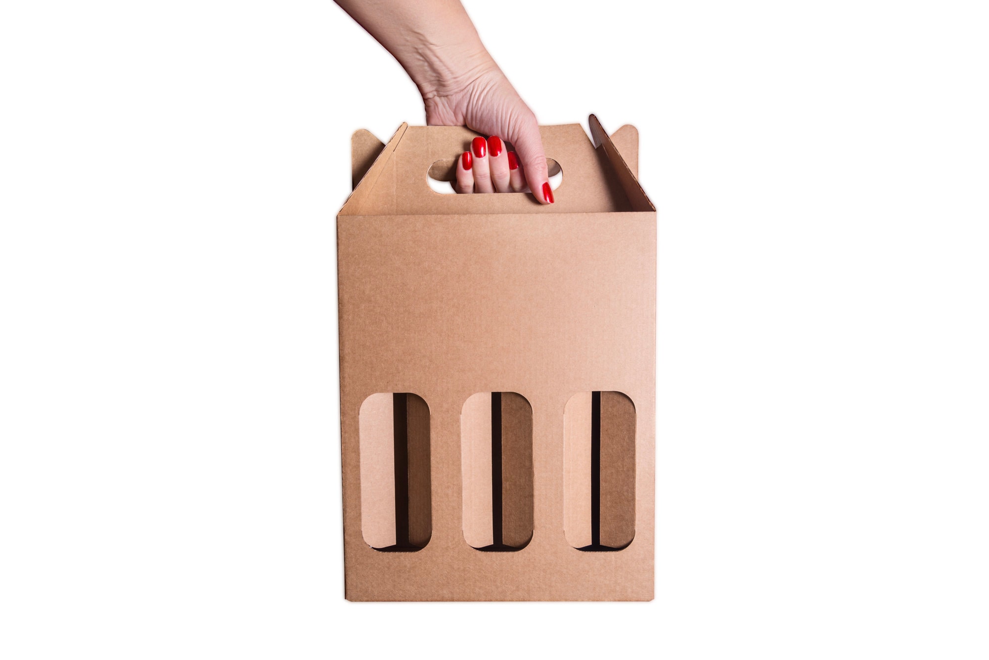 5 Pcs Kraft Cardboard Beer Bottle Holder With Handle for 3 X Etsy