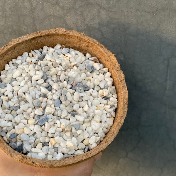 Premium Pebbles - White Coral Top Dressing (Order Separately)