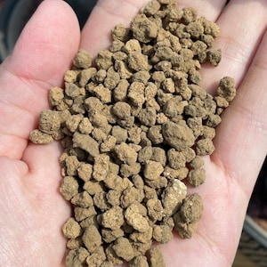 Japanese Akadama Pebbles: Bonsai Soil, Horticulture Supply