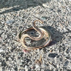 Snake Cartilage Ring, Cartilage Earring, Cartilage Hoop, Dainty Helix Earring, Thin Hoop, Seamless Ring, Small Tragus Hoop, 2025 Year