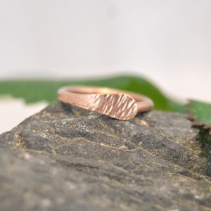 Piercing de cartilagem texturizado em ouro rosa - preenchimento de ouro 14k - 14g 16g 18g 20g Anel sem costura - Argola sem fim - Concha Tragus Hélice Nariz Lábio Sobrancelha