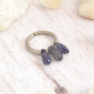 Piercing du cartilage en titane et cristal de guérison - Cerceau sans nickel - Bague sans couture 16 g 18 g 20 g - Boucle d'oreille tour - Boucle d'oreille calibrée - Bague Daith