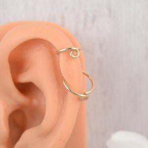 Loop Helix Earring - Helix Jewelry - 14g 16g 18g 20g Helix Hoop - 1st 2nd Lobe Earring - Nature Jewelry - Seamless Ring - Endless Hoop