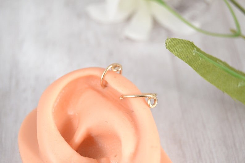 1st 2nd Lobe Earring 14g 16g 18g 20g Helix Hoop Seamless Ring Endless Hoop Loop Helix Earring Helix Jewelry Nature Jewelry