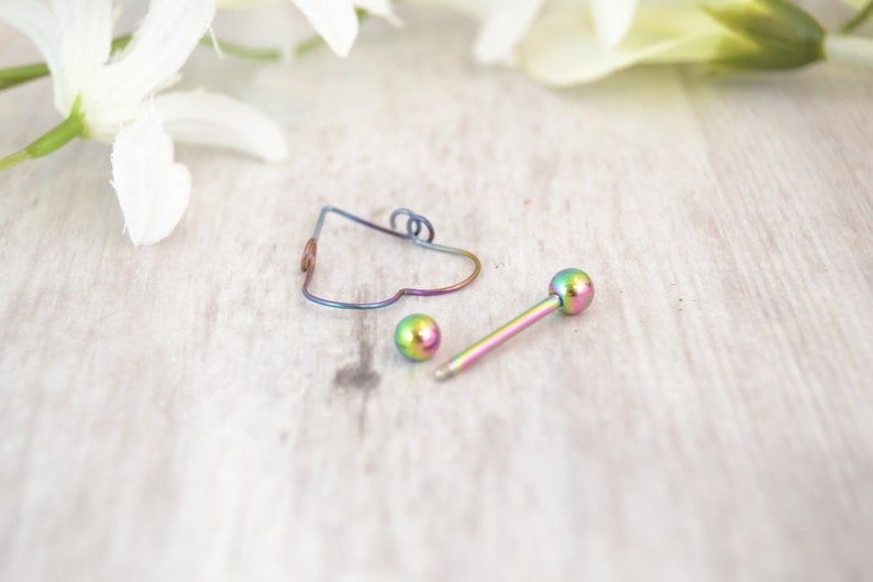 Niobium Heart Nipple Shield Valentine/'s Gift Gift for Her Rainbow Heart Nipple Ring PvD 316L Stainless Steel 14g Barbell