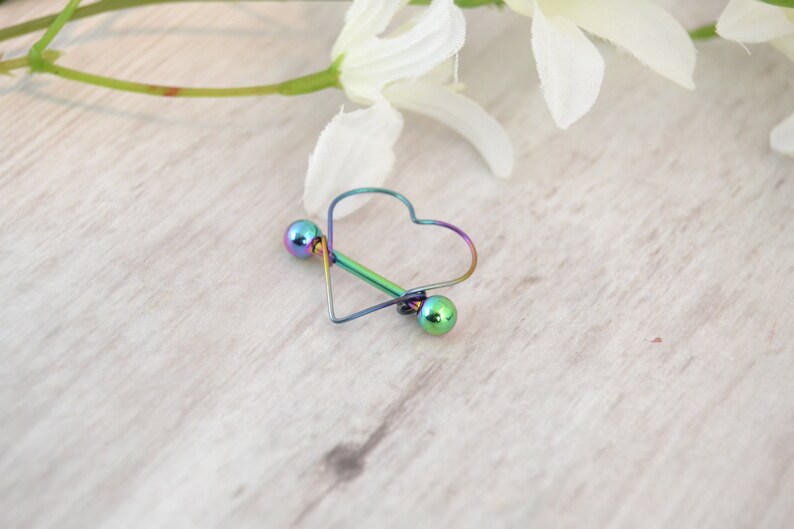 Niobium Heart Nipple Shield Valentine/'s Gift Gift for Her Rainbow Heart Nipple Ring PvD 316L Stainless Steel 14g Barbell