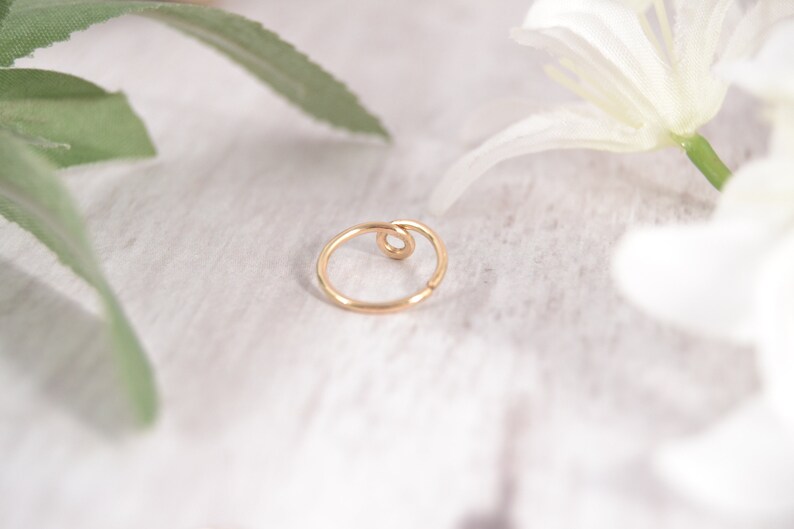 1st 2nd Lobe Earring 14g 16g 18g 20g Helix Hoop Seamless Ring Endless Hoop Loop Helix Earring Helix Jewelry Nature Jewelry