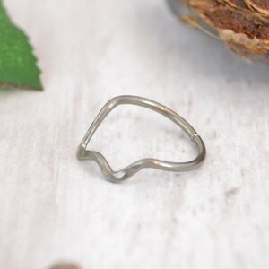 Niobium Mountain Cartilage Earring -  Seamless Ring - 14g 16g 18g 20g 22g 24g Endless Hoop - Belly Tragus Helix Rook Conch Earring Lip Ring