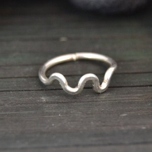 14k Gold Vine Cartilage Earring, Seamless Ring, 14g 16g 18g 20g 22g Endless Hoop,  Minimalist Earring Hoop, Ear Hoop