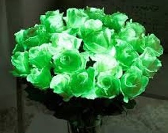 Glow in the dark FLOWER paint for living and artificial flowers