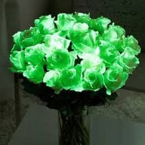 Glow in the dark FLOWER paint for living and artificial flowers