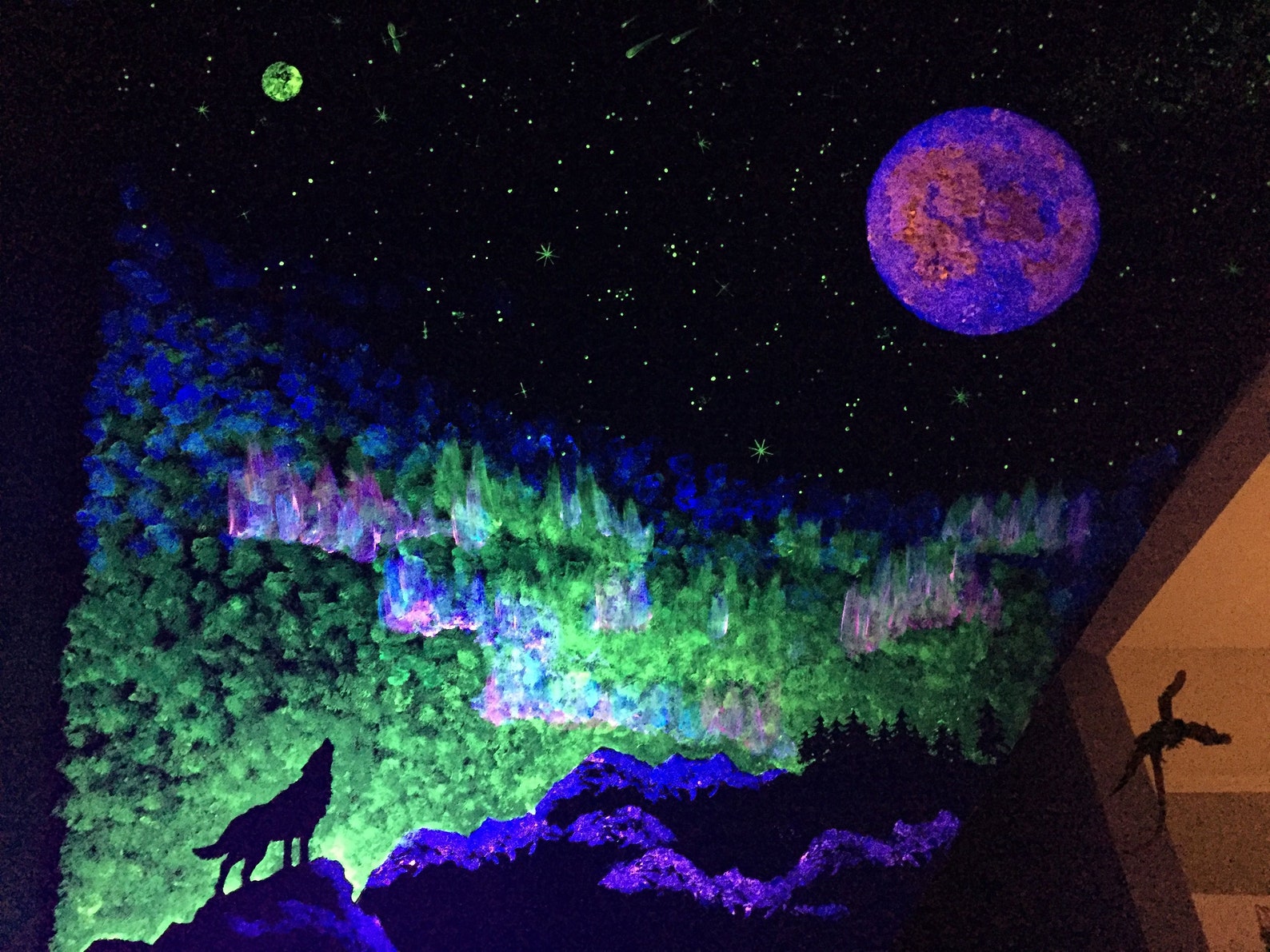 Glow in the Dark Interior Wall Paint - Etsy