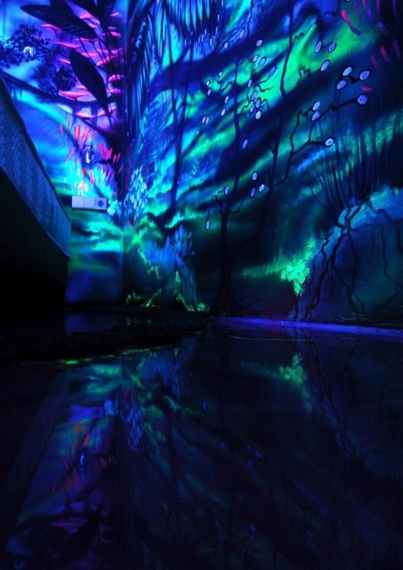 Neon UV Blacklight Reaktiv Färbemittel Farben Glühend Flüssigkeit 
