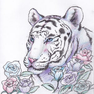 Original Artworks