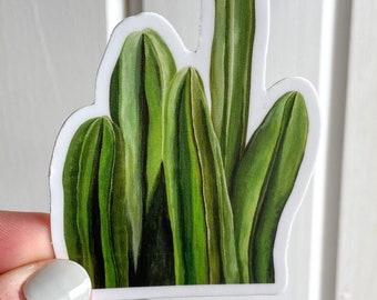 Cactus sticker