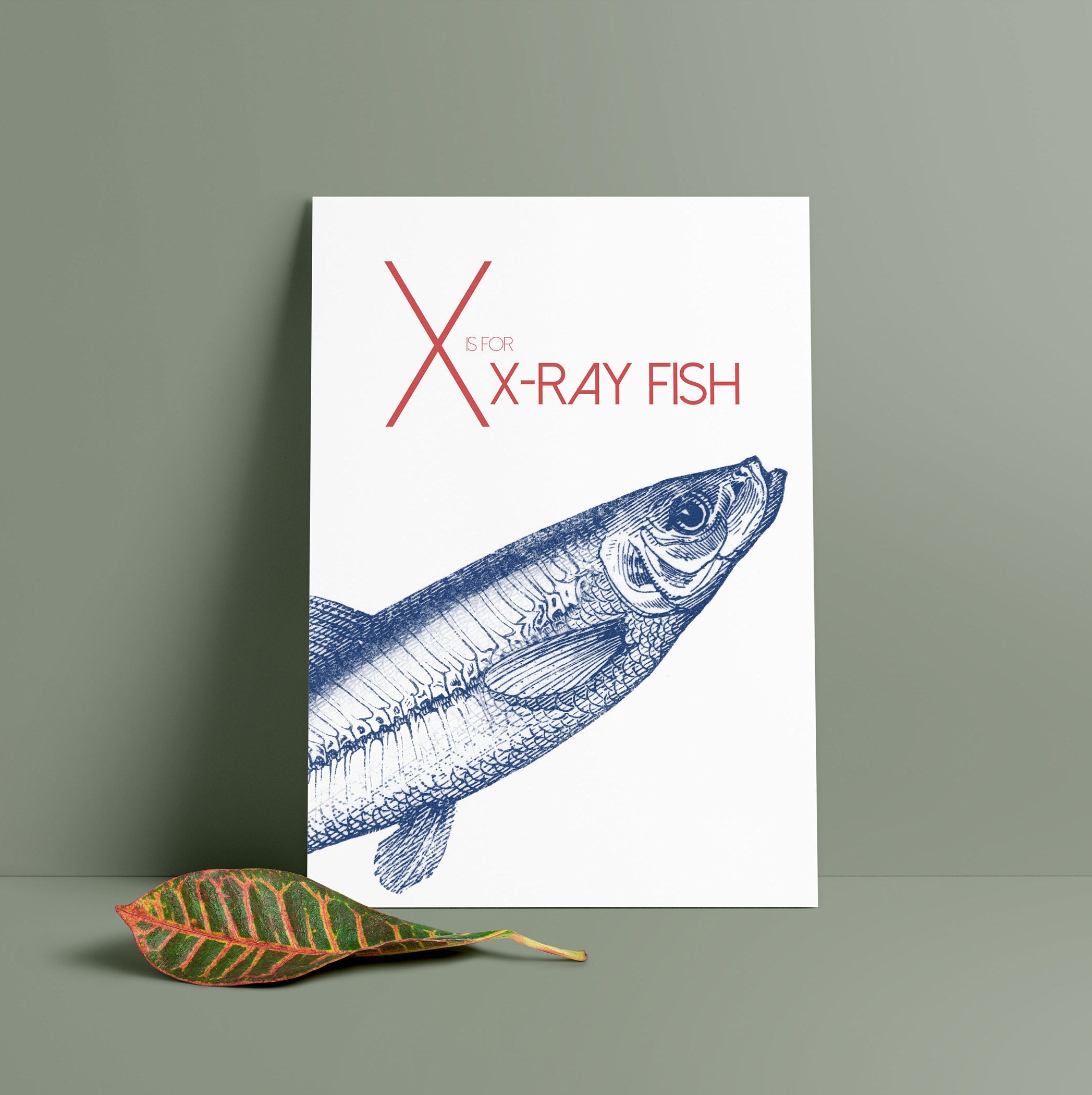 x is for x ray fish illustrated printable poster etsy