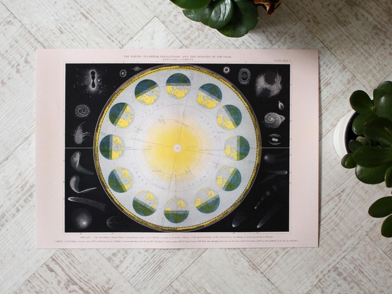 Celestial Chart Astronomy A3 Poster Etsy UK