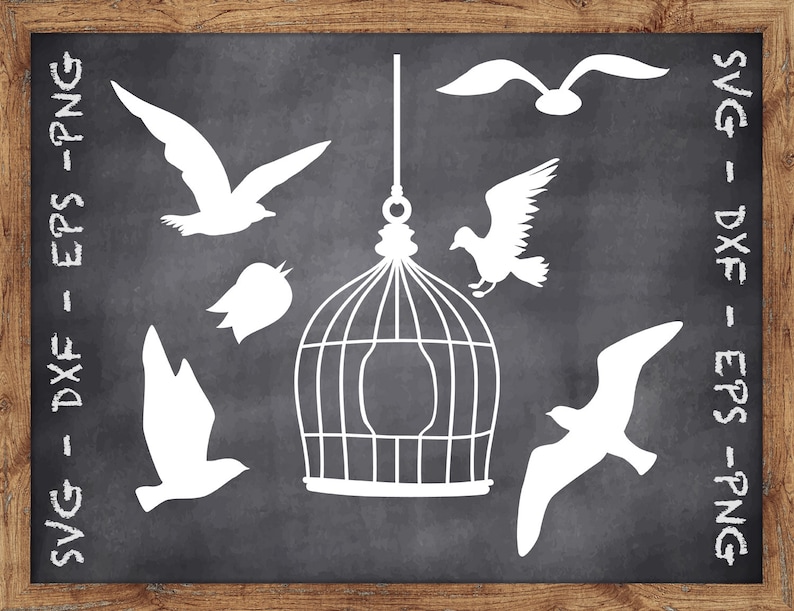 Bird SVG File Bird Cage Clipart Bird Clipart Bird Cage Svg Bird Cut File Birds DXF Bird Cricut SVG Bird Cutting File