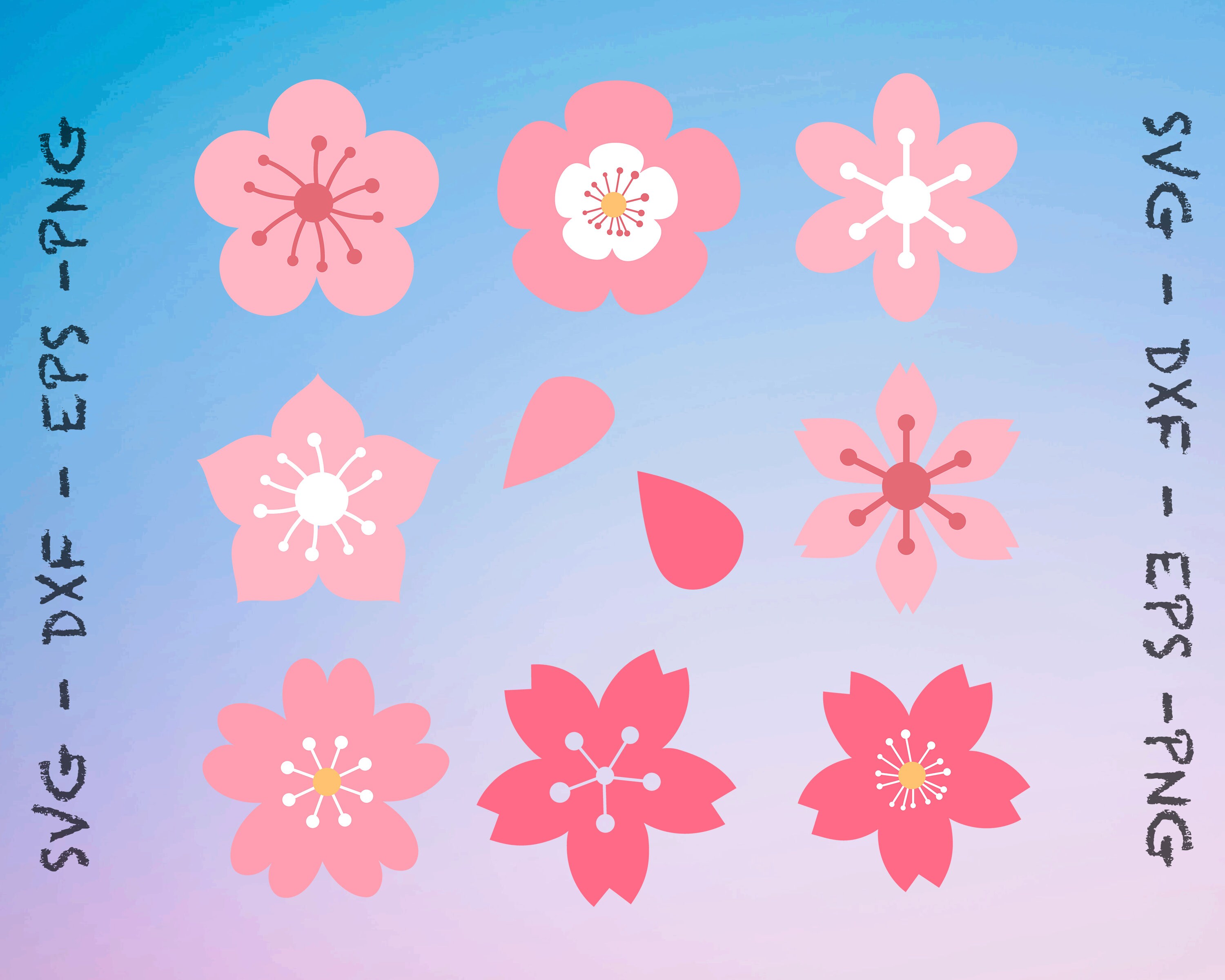 Cherry Blossoms SVG File Cherry Blossoms Clipart Png Etsy