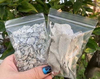 Probier 5g Tüte kalifornische Yerba Santa (von mir selbst gepflückt und handgebündelt, nachhaltige/ethisch bezogene Ernte)