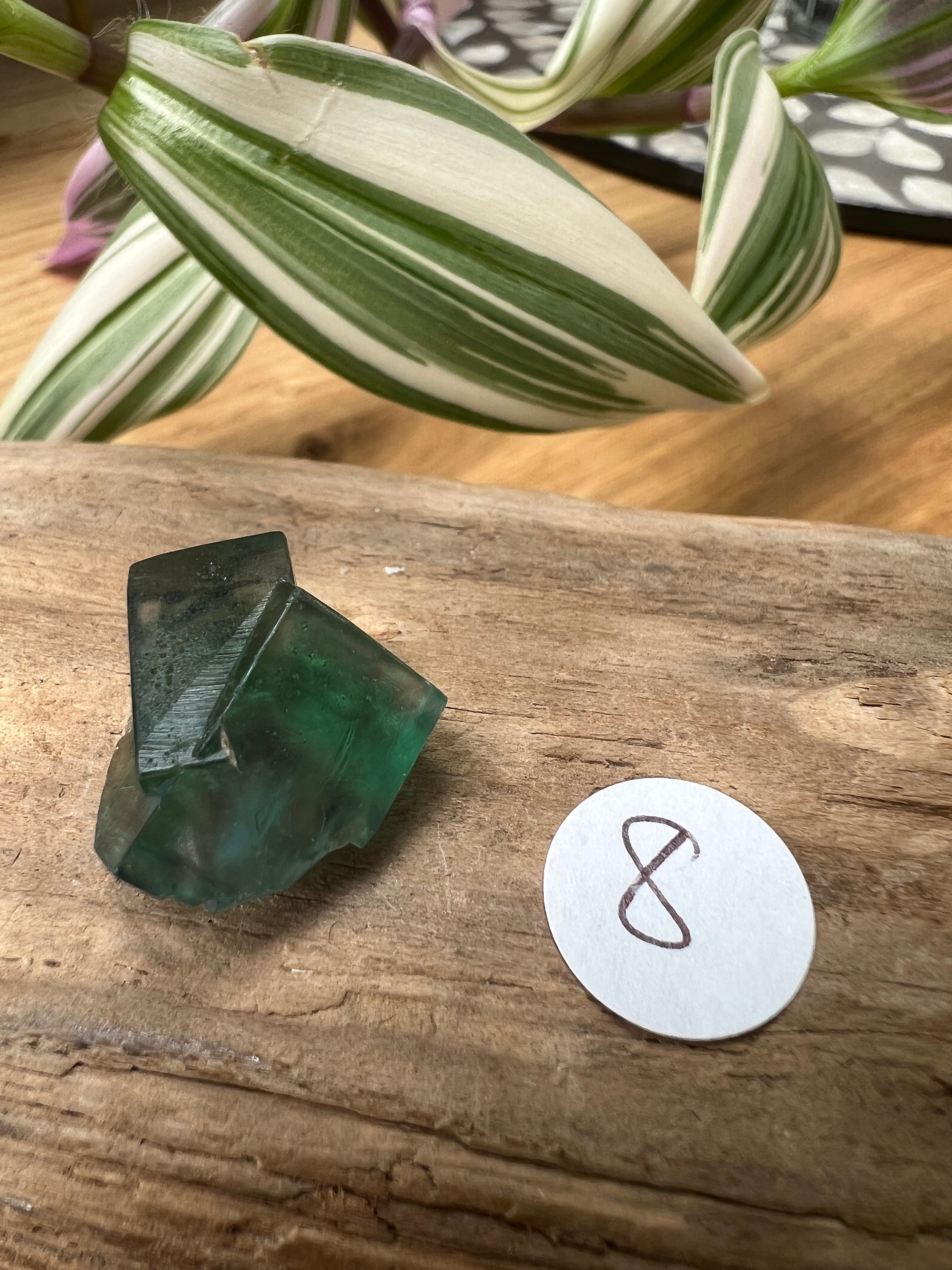 Green Fluorite Piece (British Co. Durham 2004) - 8