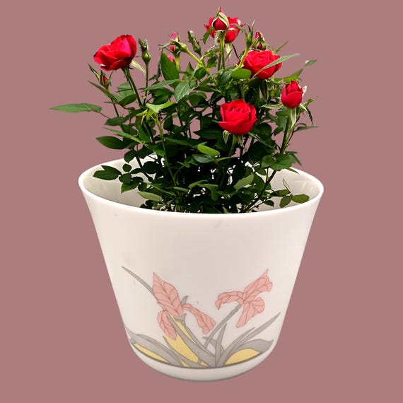 Vintage white opaline plant pot, Arcopal Diana motif