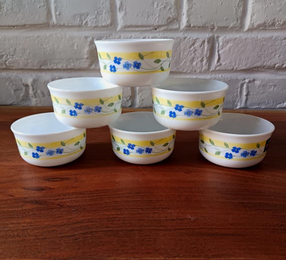 6 vintage arcopal ramekins with Aster pattern