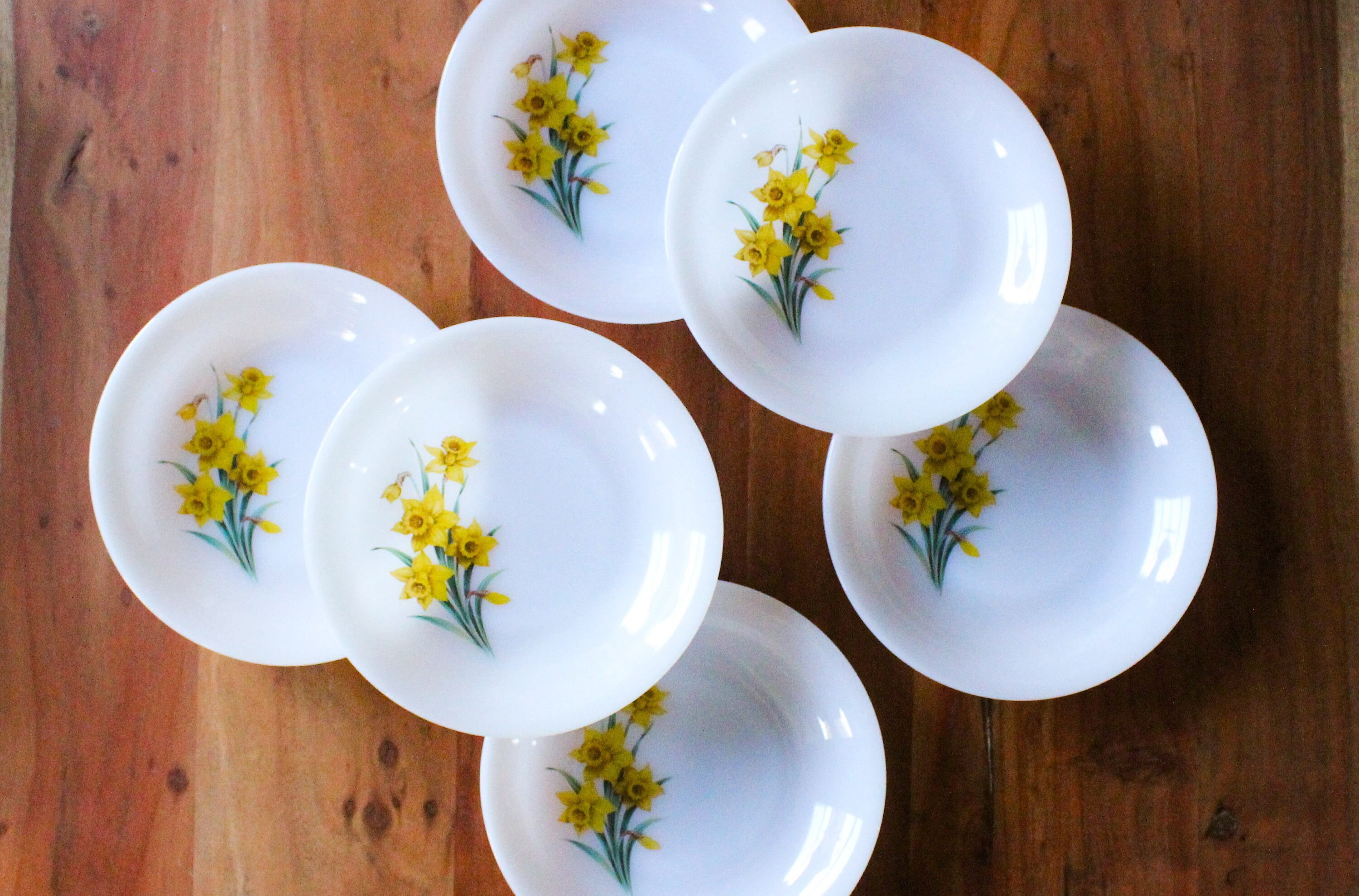 6 Assiettes Creuses Opaline Française Luminarc Motif Jonquilles, Années 1960