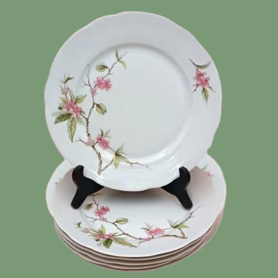 6 DINNER PLATES white porcelain Bareuther Waldassen Bavaria Germany