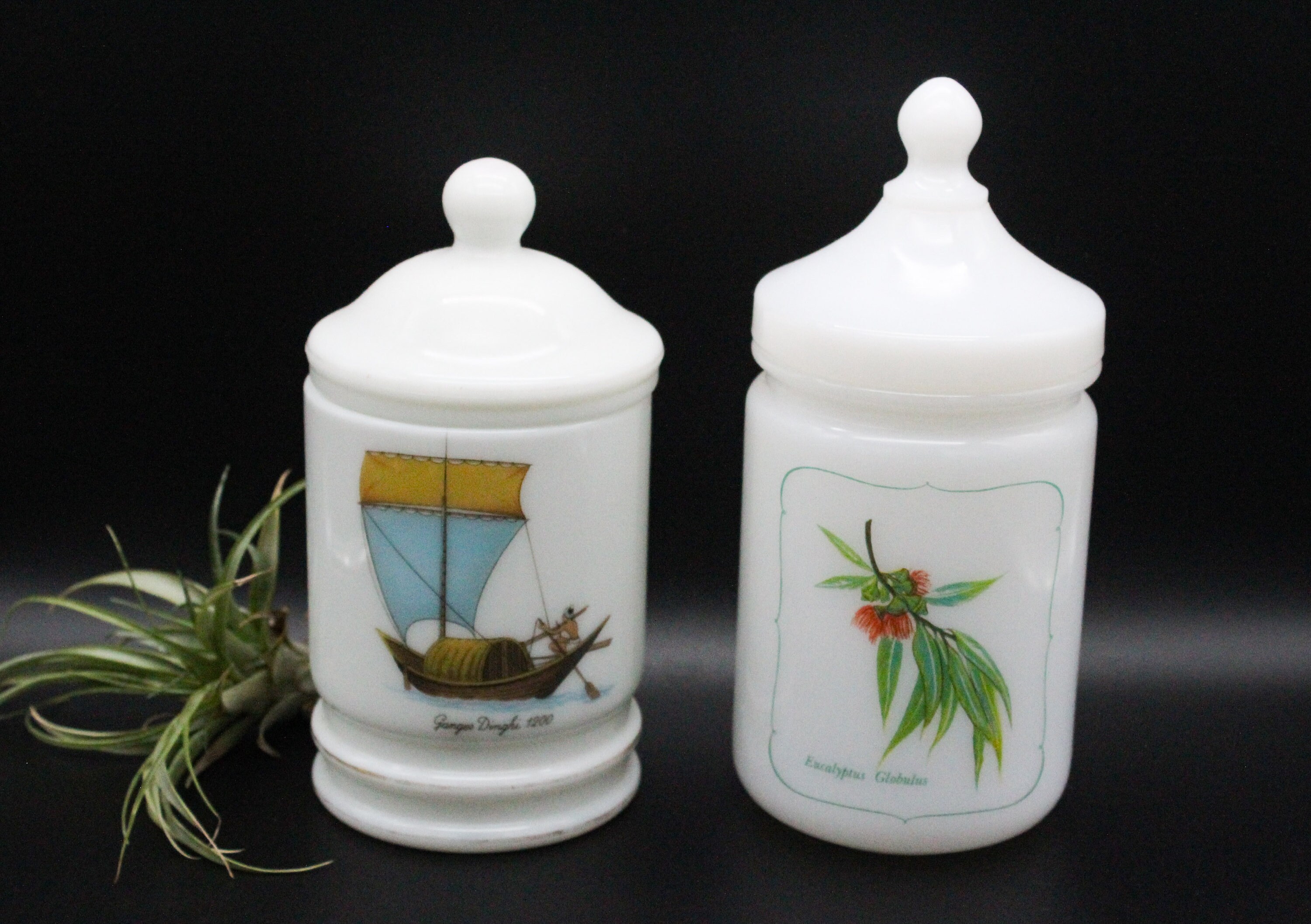 Pots en Opaline Blanc, Pot Apothicaire Vintage